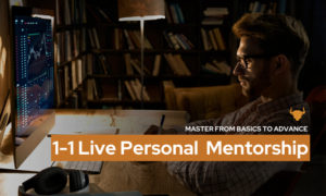 1 1 Live Personal Mentorship 2