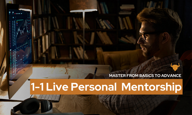 1 1 Live Personal Mentorship 2